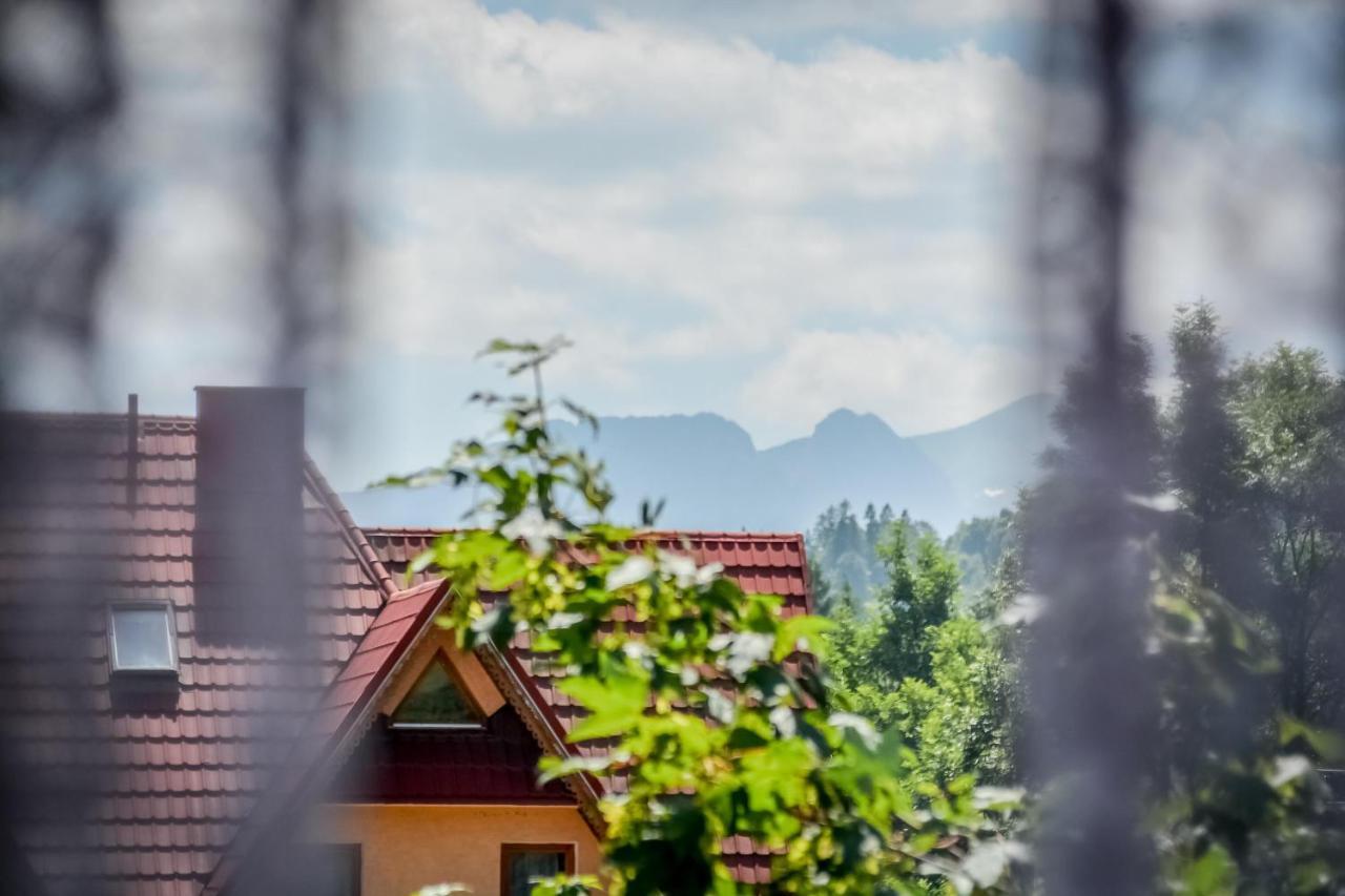 Willa Goralska Bialy Dunajec Exterior photo